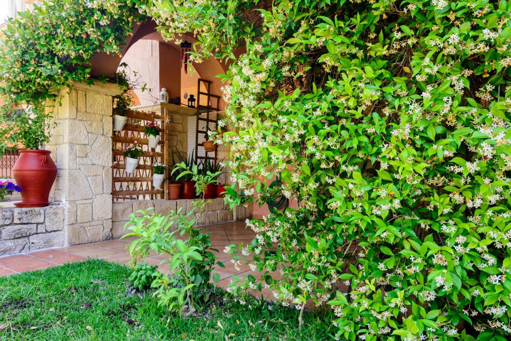 La Luna House Pefkochori Exterior foto